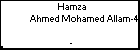 Hamza Ahmed Mohamed Allam-4