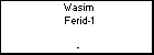 Wasim Ferid-1
