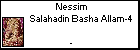 Nessim Salahadin Basha Allam-4