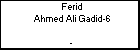 Ferid Ahmed Ali Gadid-6