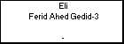 Eli Ferid Ahed Gedid-3