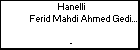 Hanelli Ferid Mahdi Ahmed Gedid-4