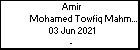 Amir Mohamed Towfiq Mahmoud