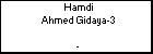 Hamdi Ahmed Gidaya-3
