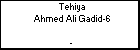 Tehiya Ahmed Ali Gadid-6