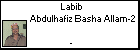 Labib Abdulhafiz Basha Allam-2