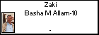 Zaki Basha M Allam-10