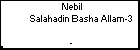 Nebil Salahadin Basha Allam-3