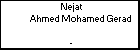 Nejat Ahmed Mohamed Gerad