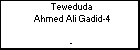 Teweduda Ahmed Ali Gadid-4