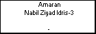 Amaran Nabil Ziyad Idris-3